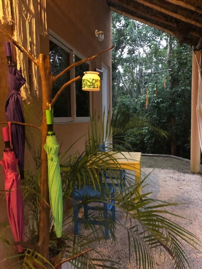 Bed and breakfast Casa Tzalam Selva 4*