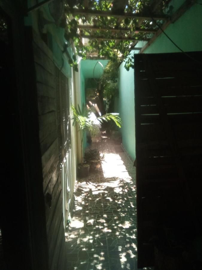 The Hobbit Jungle A Bike Included * Tulum
