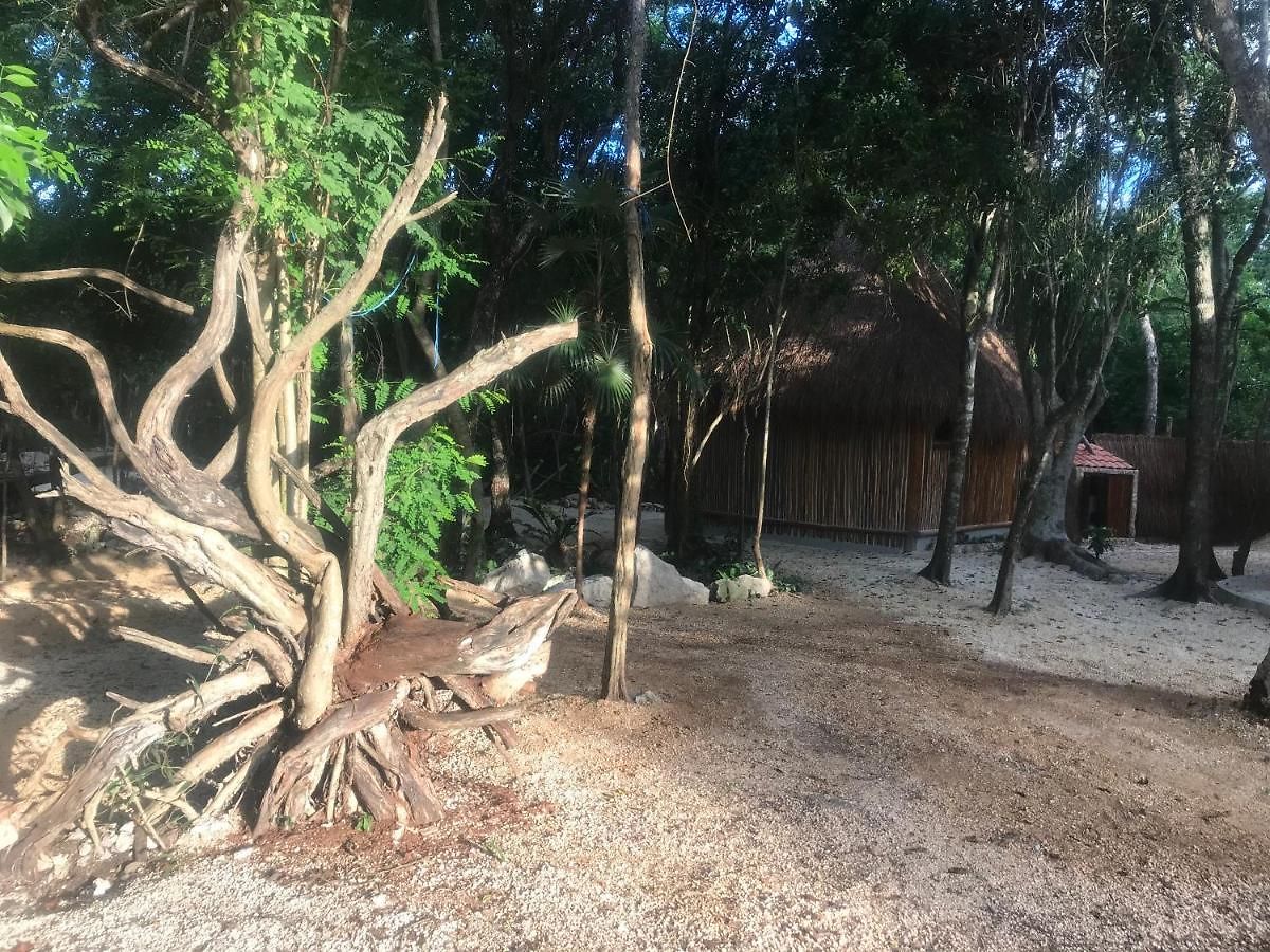 Nueve Tulum