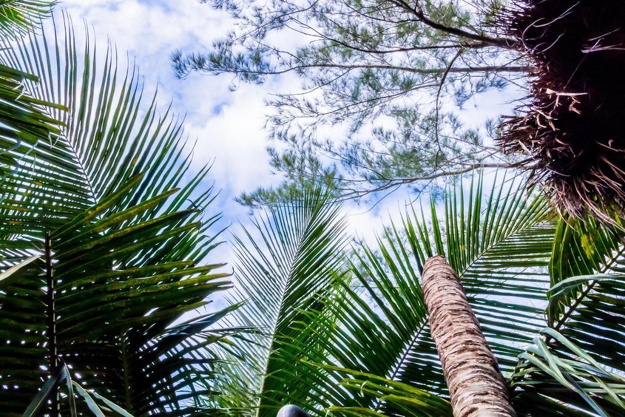 Hotel Oostel Smart - Playa Tulum