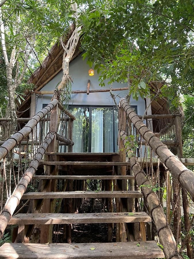 Roc Jungle