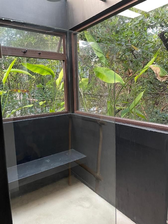 Roc Jungle Hotel Tulum
