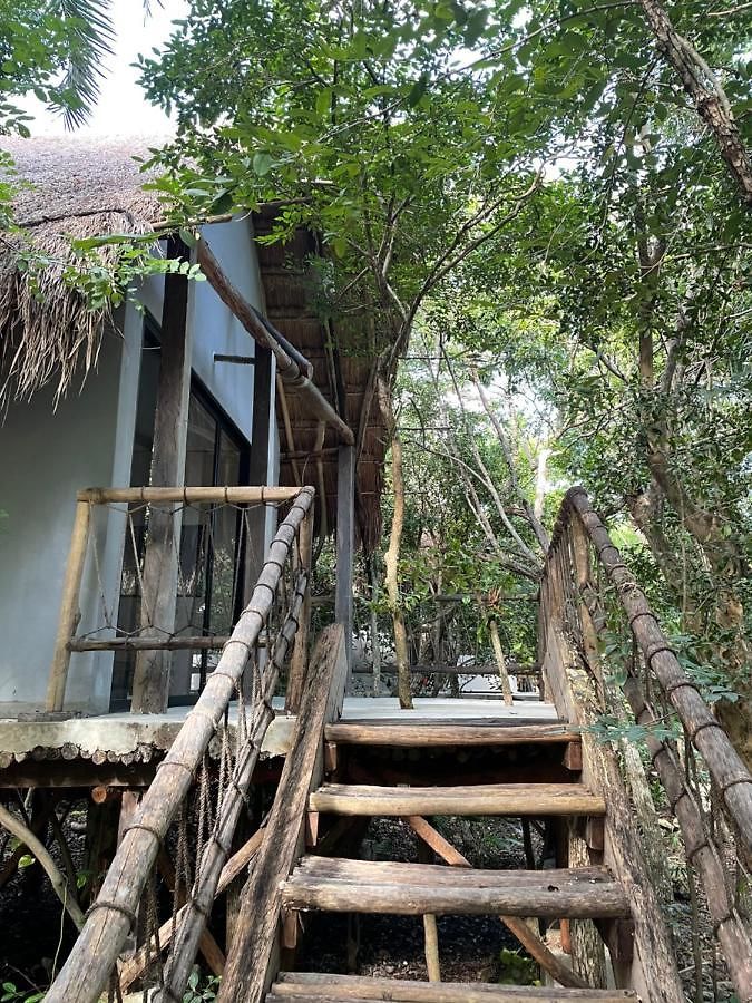 Roc Jungle Hotel Tulum