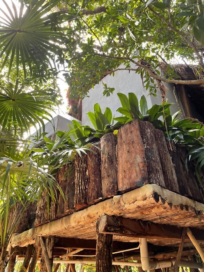 Roc Jungle
