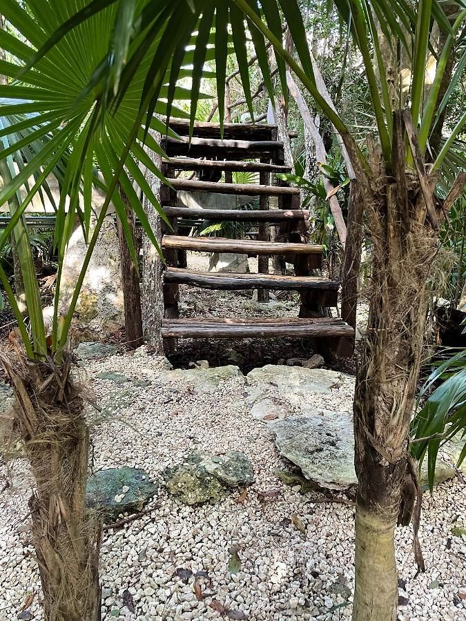 Roc Jungle Tulum