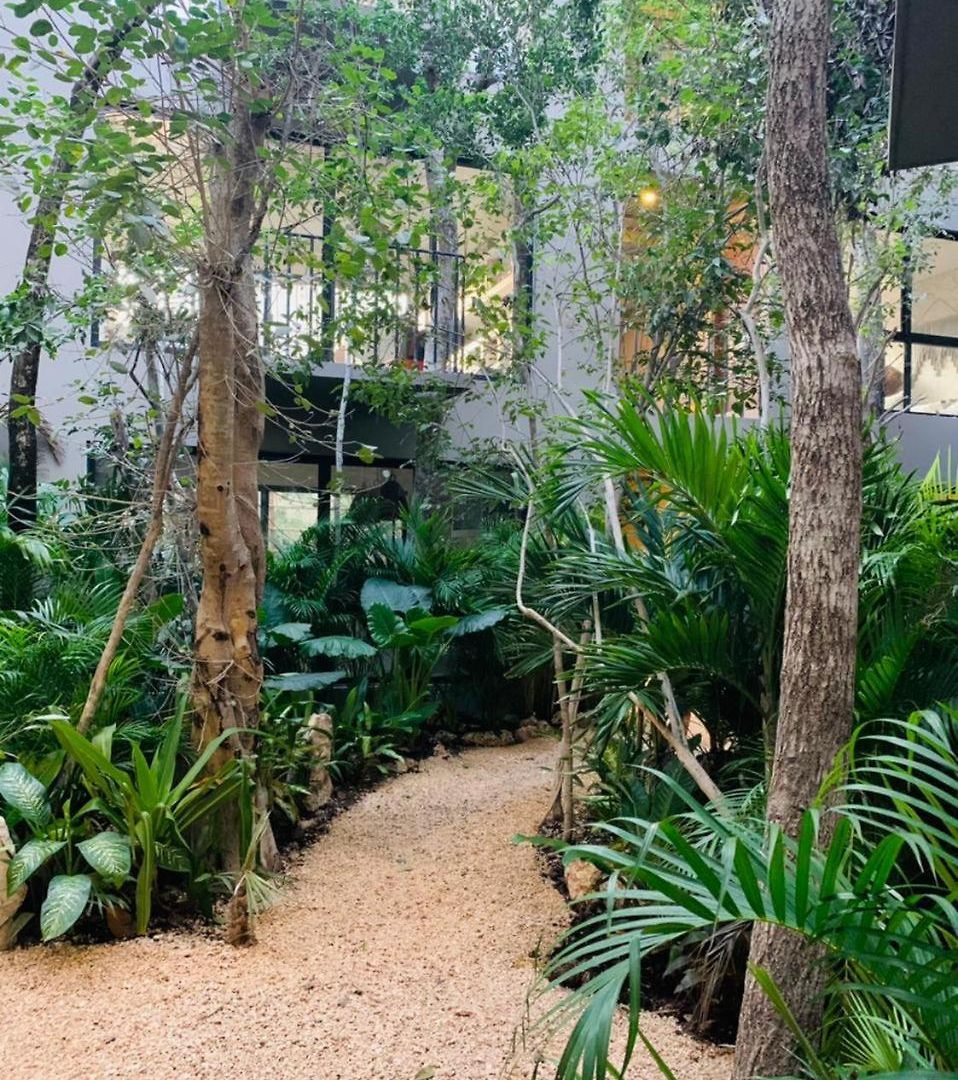 Apartment Boho Beautiful Special Fee For Bardo Daypass