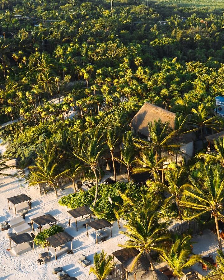 Hotel Nest Tulum