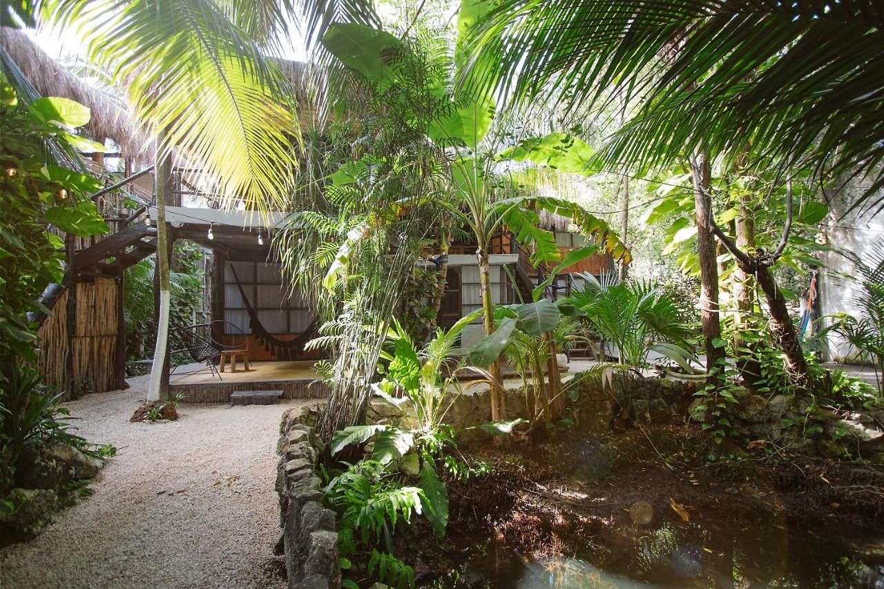 Guest house Tunich Jungle