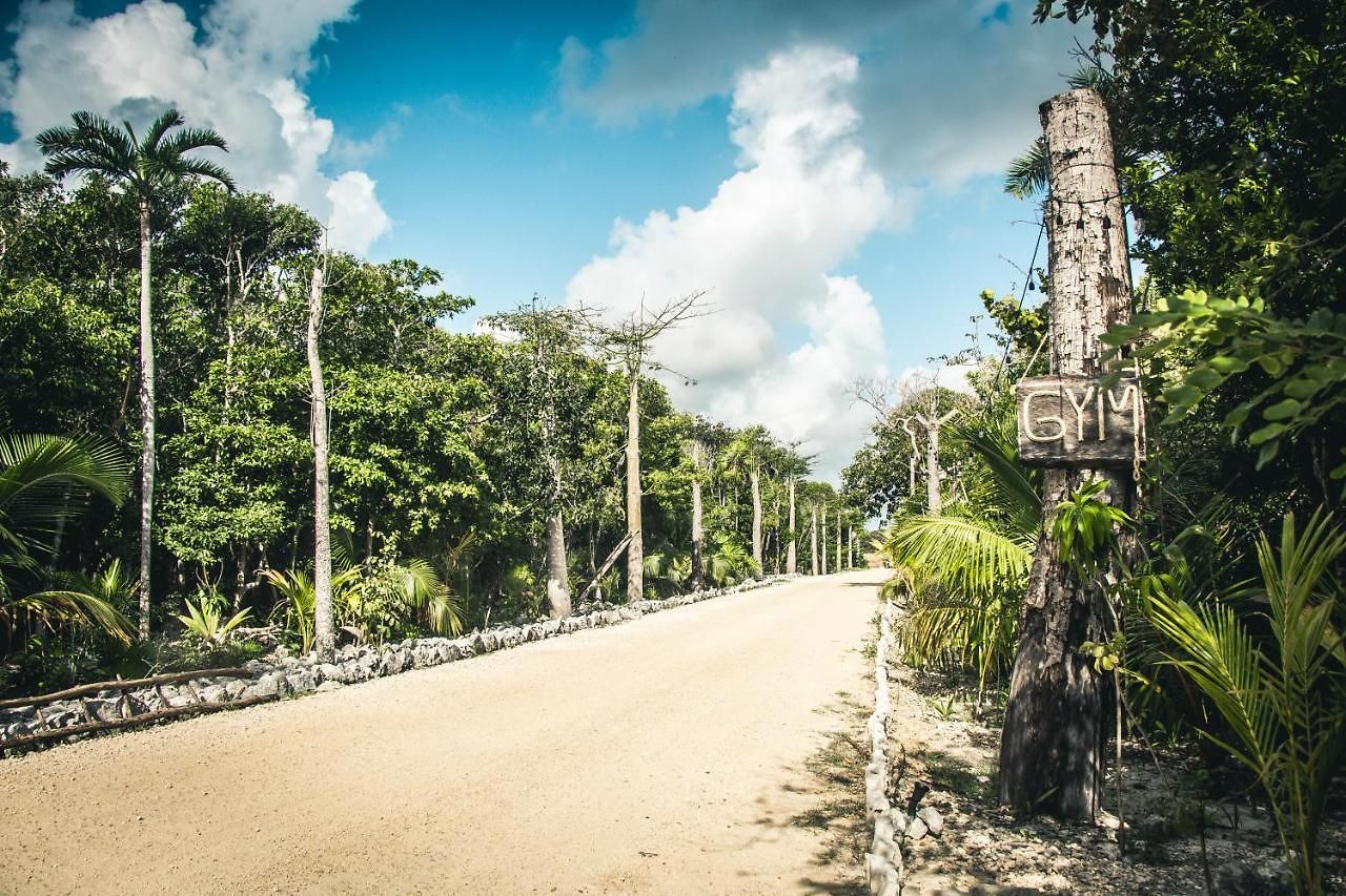 Roc Jungle 4* Tulum
