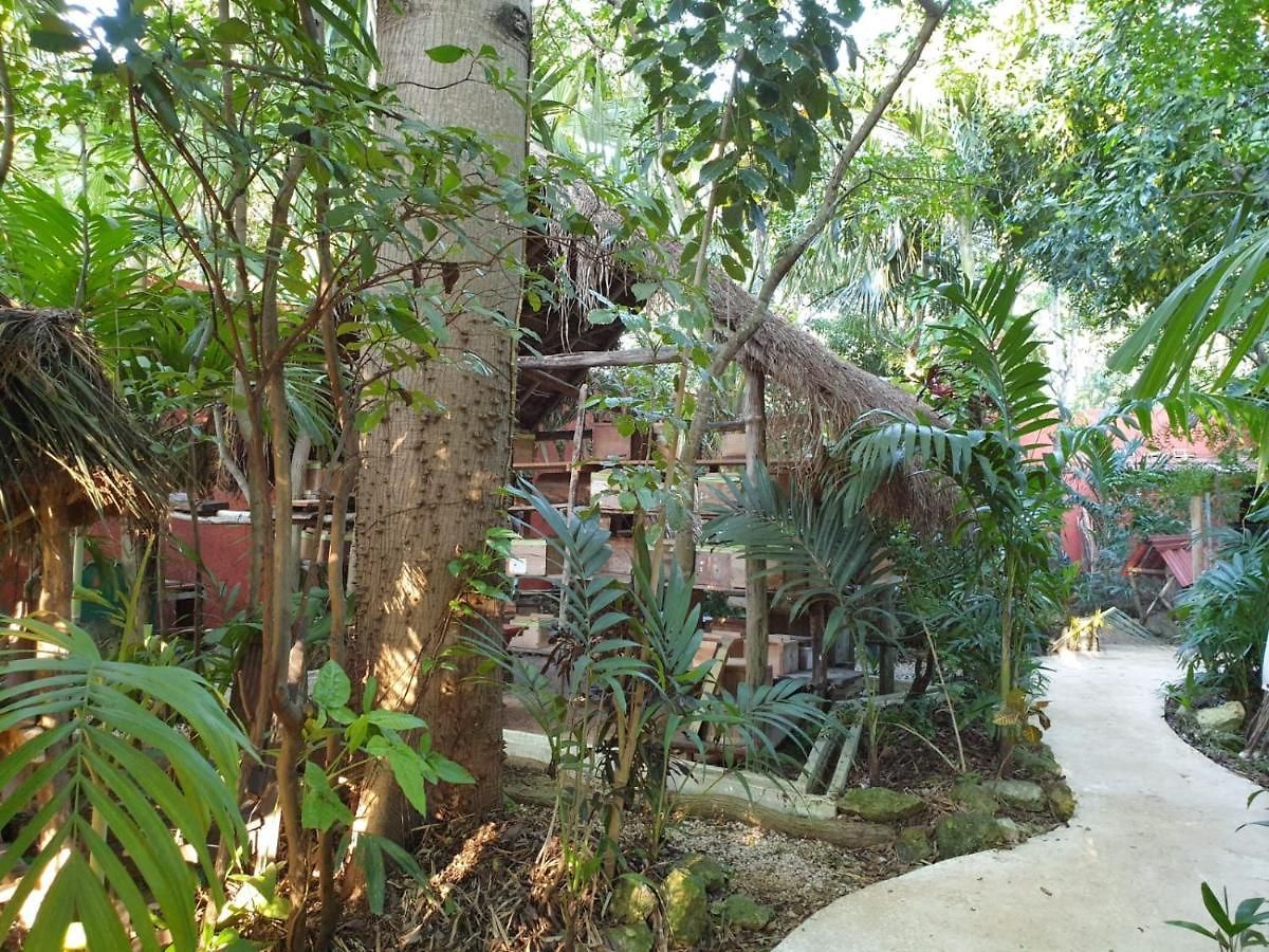 Bed & Breakfast Casa Don Diego