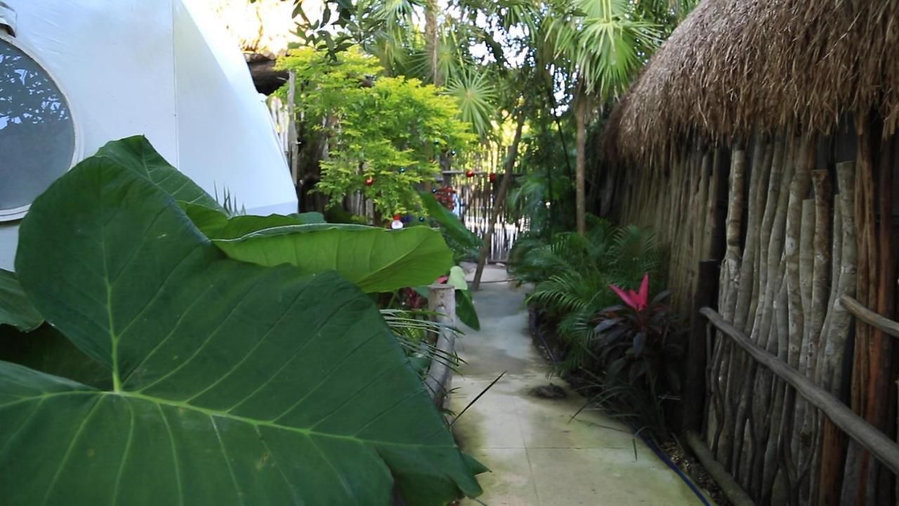 Glamping With Private Mini Pool * Tulum