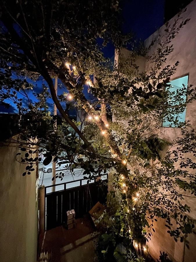 Katalox Jungle Lofts By Simply Comfort Centre Rooftop Patio & Pool * Tulum