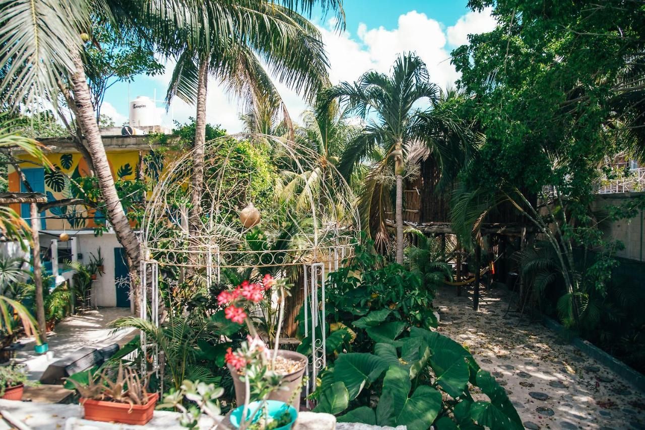 Lobo Bed and breakfast 2*