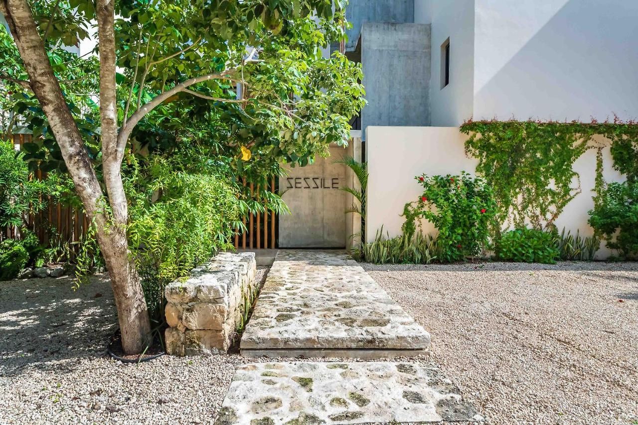 Apartment Sessile By The Spot