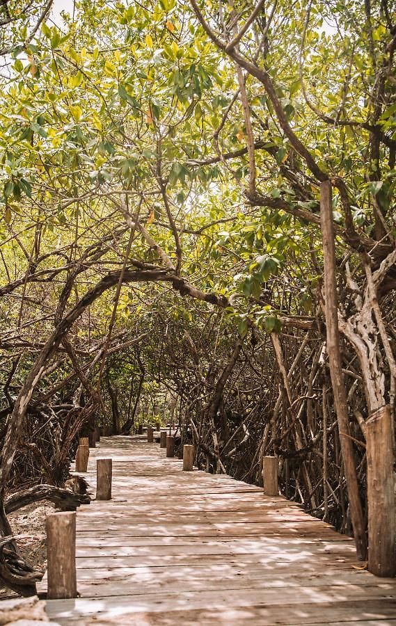 Uman Glamping & Cenote Campo de lujo