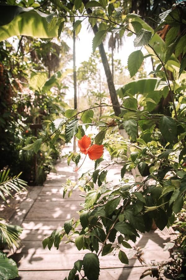 Uman Glamping & Cenote Campo de lujo Tulum