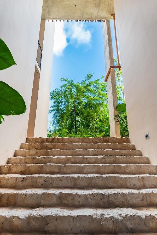 Sessile By The Spot * Tulum