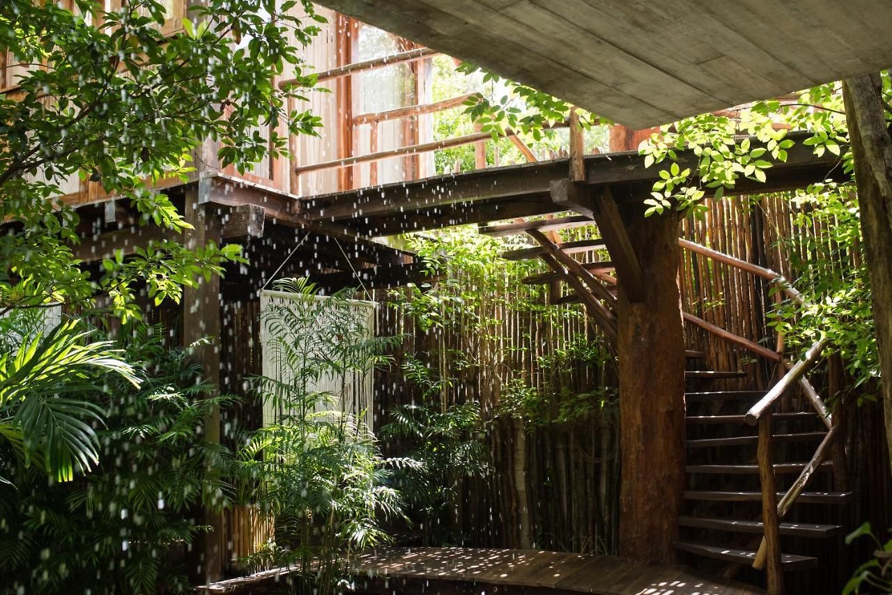 Orchid House Jungle