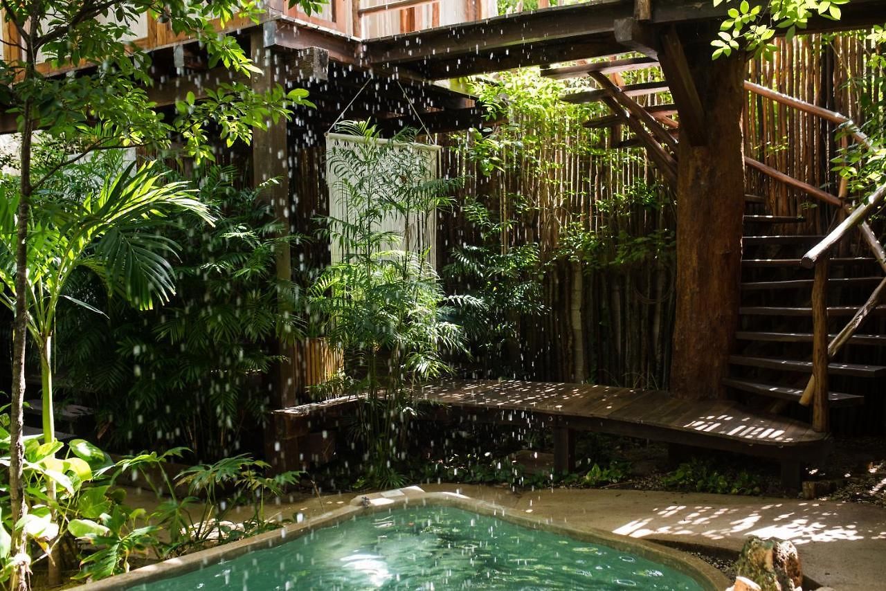 Orchid House Jungle Hotel