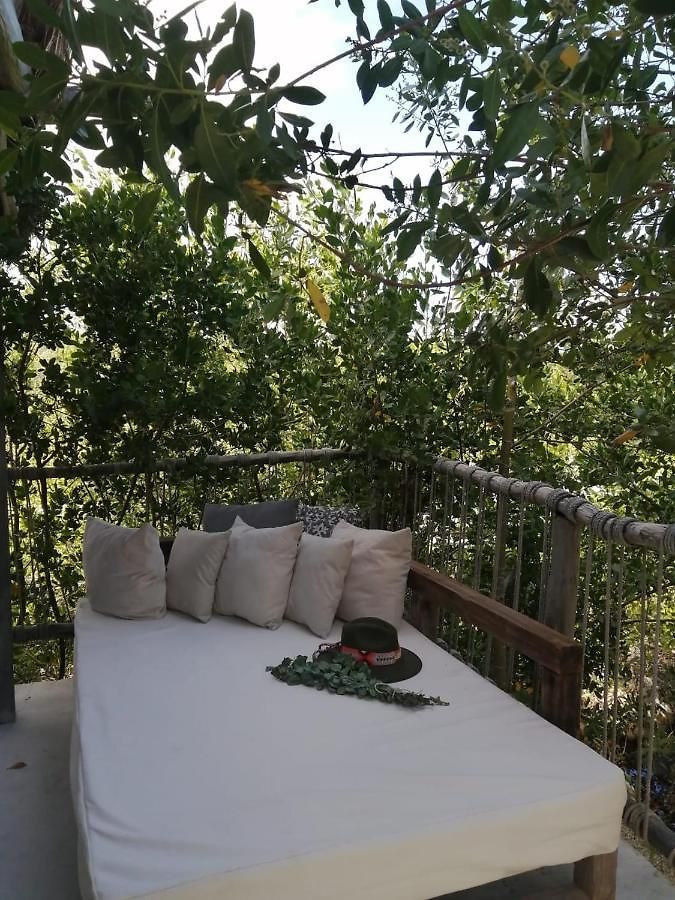 Hotel Roc Jungle 4*