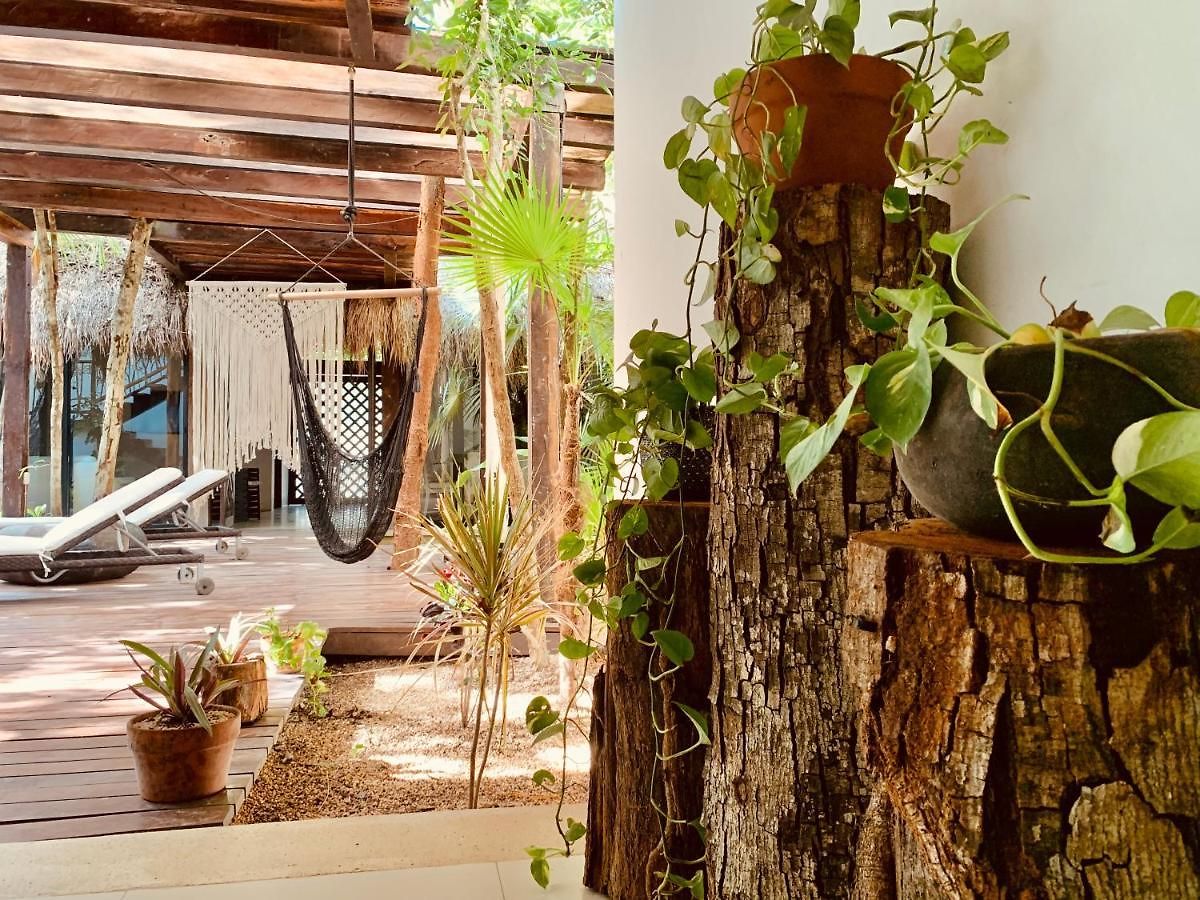 Hotel Orchid House Jungle Tulum