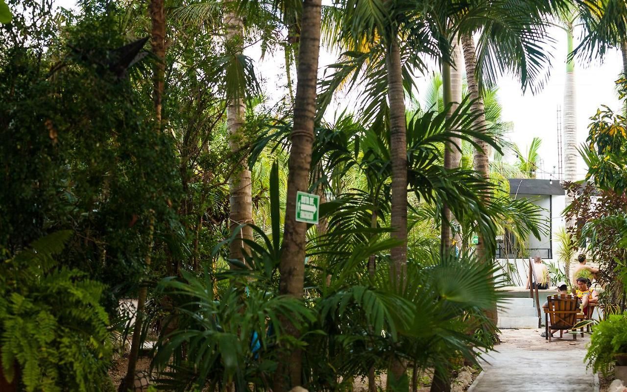 Oryx Tulum