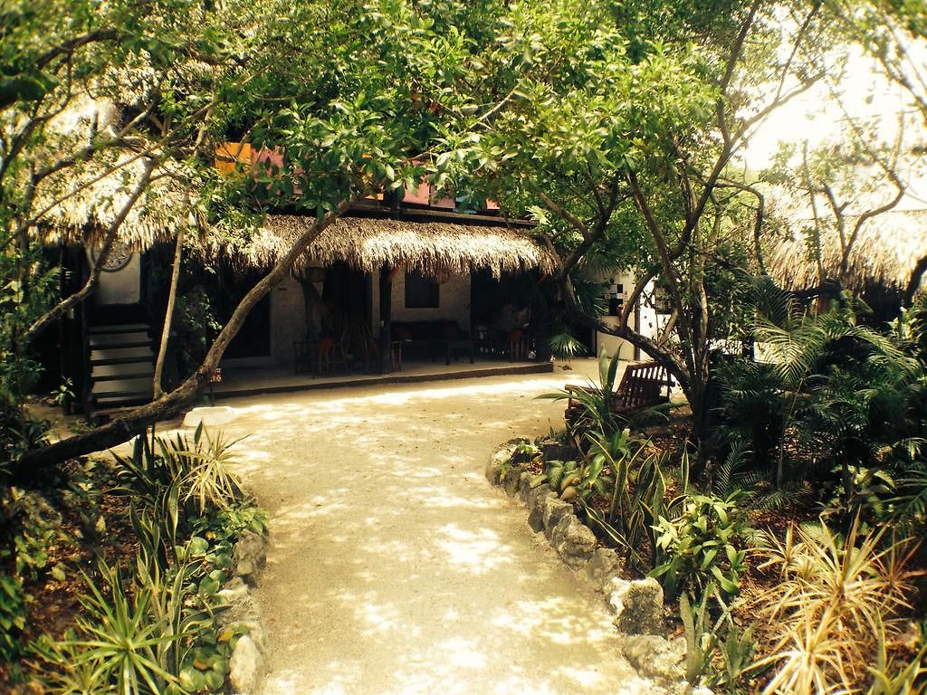 Yoga Shala 3*