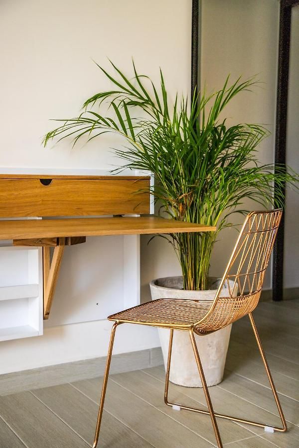Macondo Apartahotel