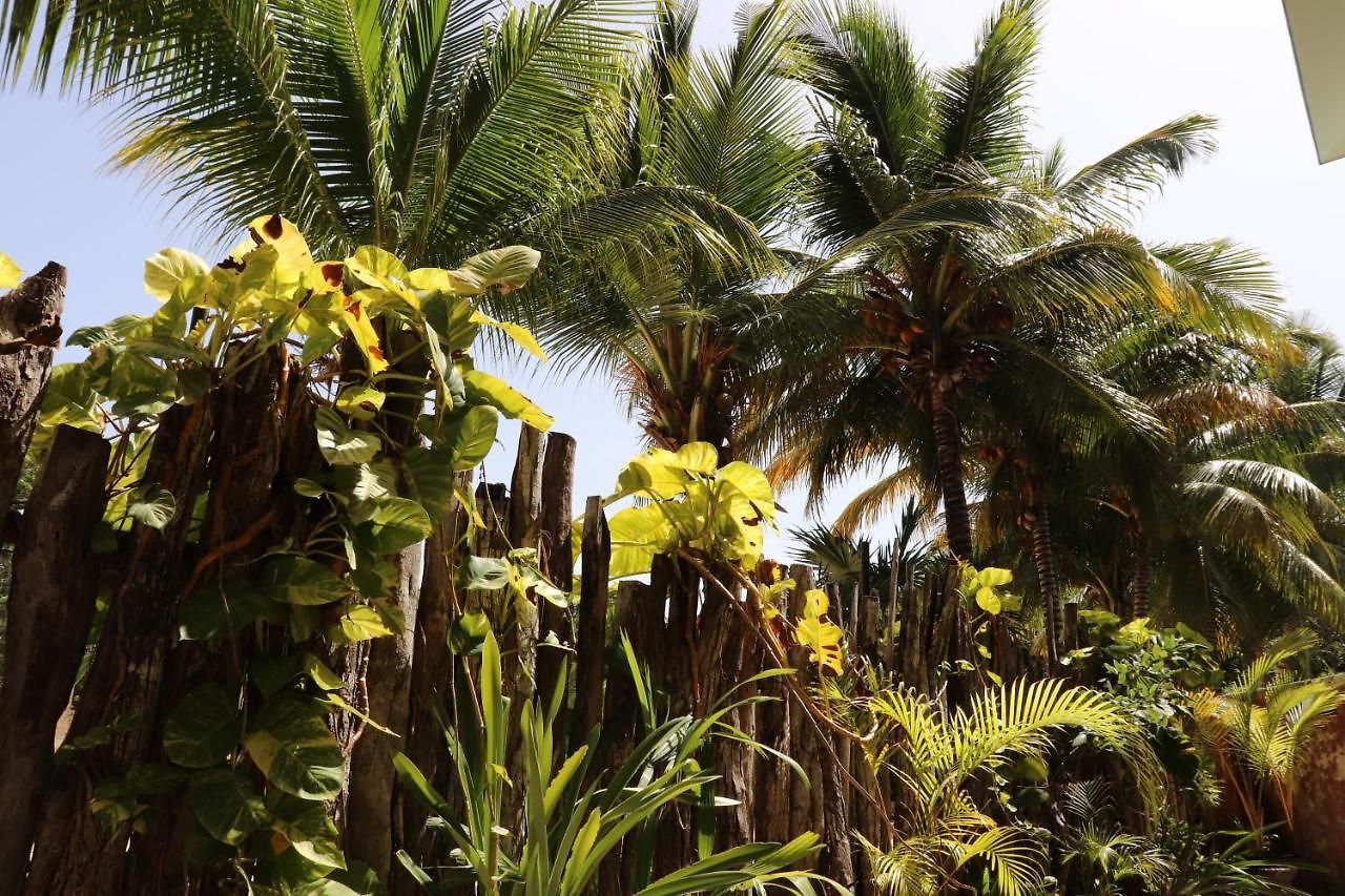 Hotel Andrea's Tulum