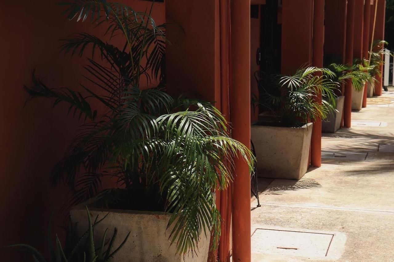 Hotel Andrea's 3*