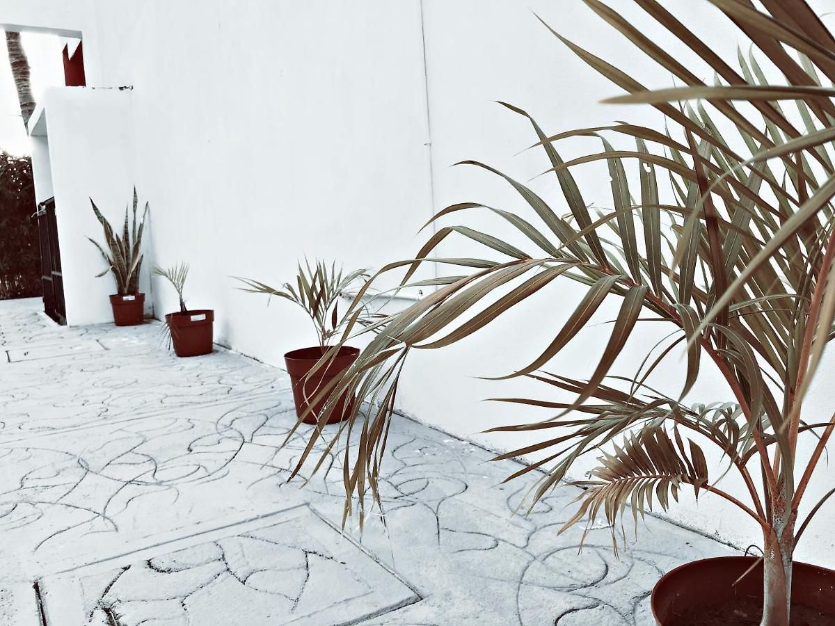 Casaia Hotel Tulum