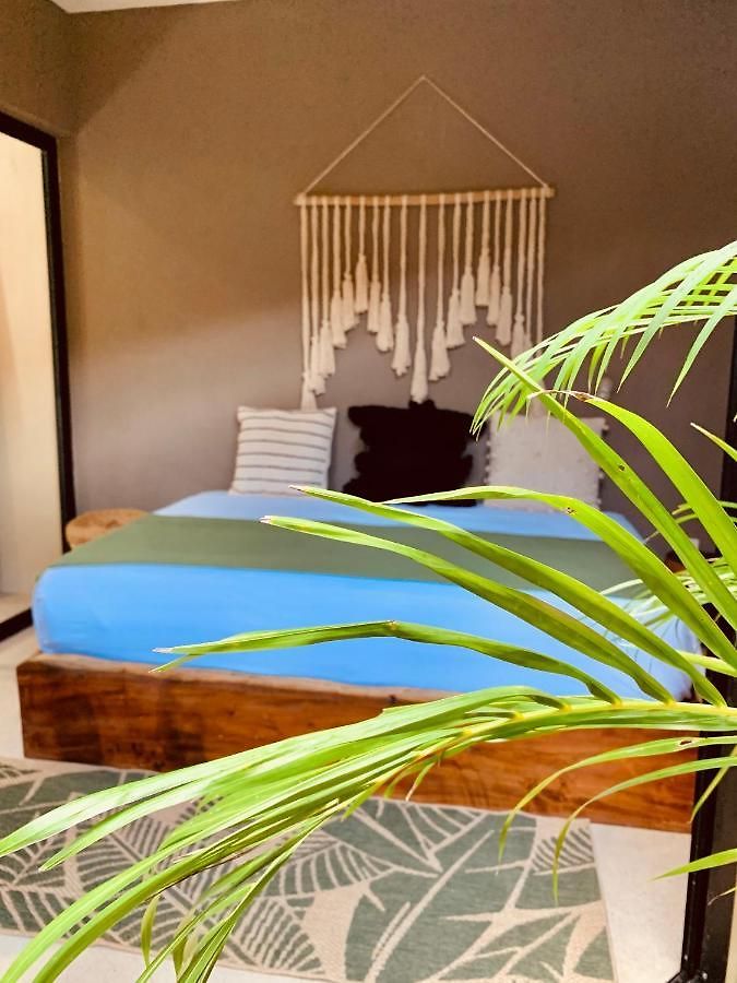 Vida Jungle 1 With Special Fee To Access Bardo * Tulum