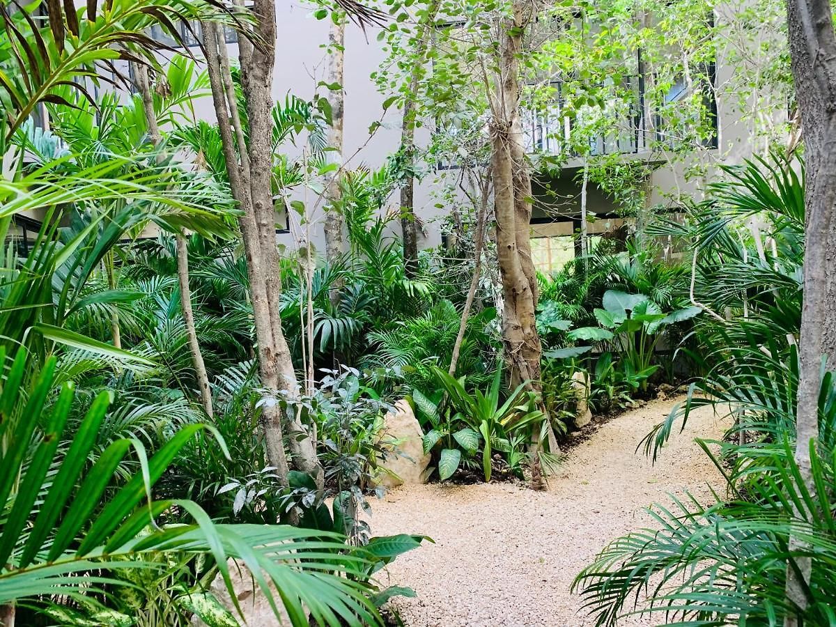 Vida Jungle 1 With Special Fee To Access Bardo * Tulum