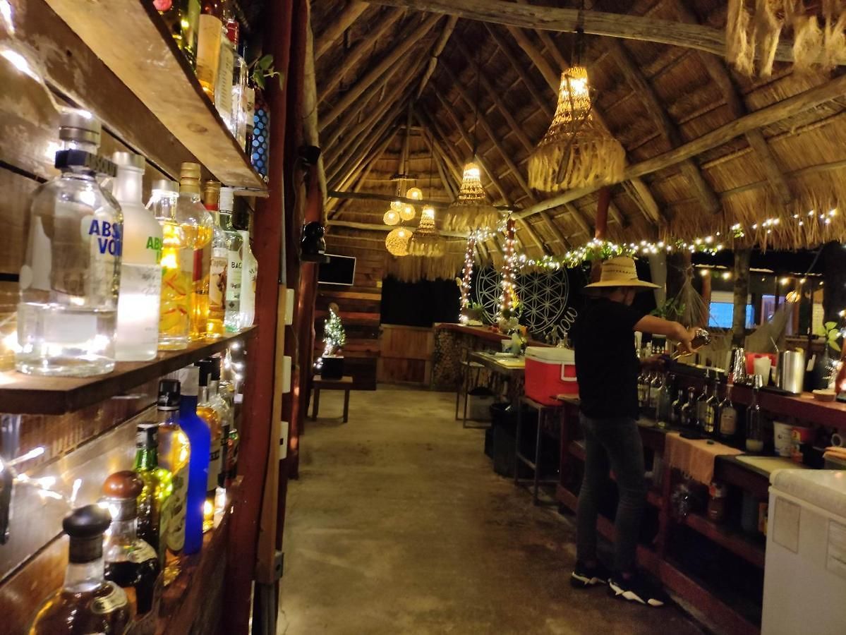 Hostel The - Food, Drinks And Transportation To The And Cenotes Tulum