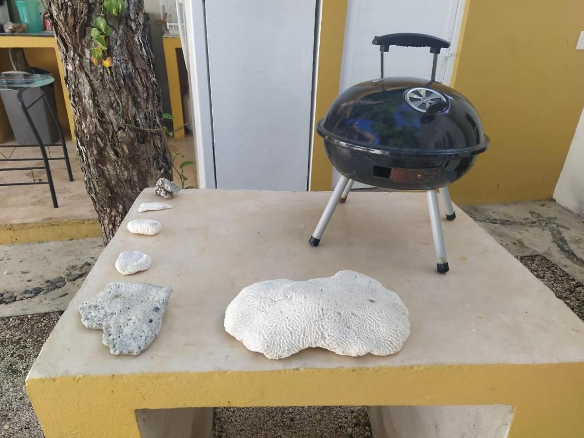 Bluestar Guest house Tulum