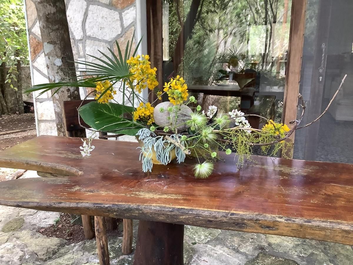 Escarabajo Rojo Bed and breakfast Tulum