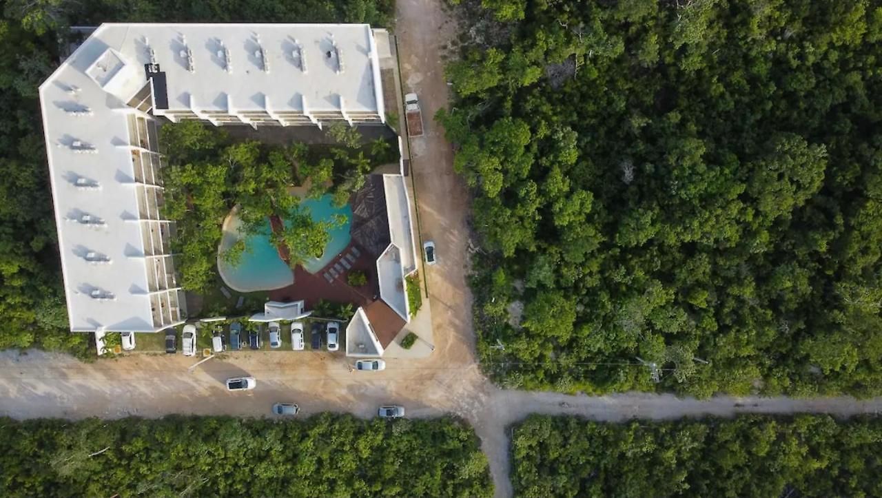Apartamento Entire At Dk Tulum