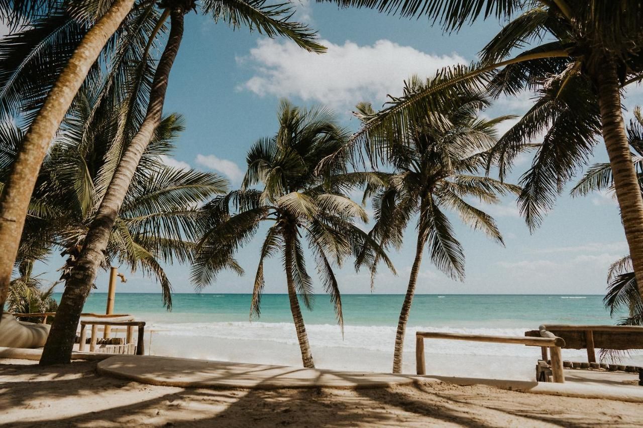 Zorba Homes Villa Tulum