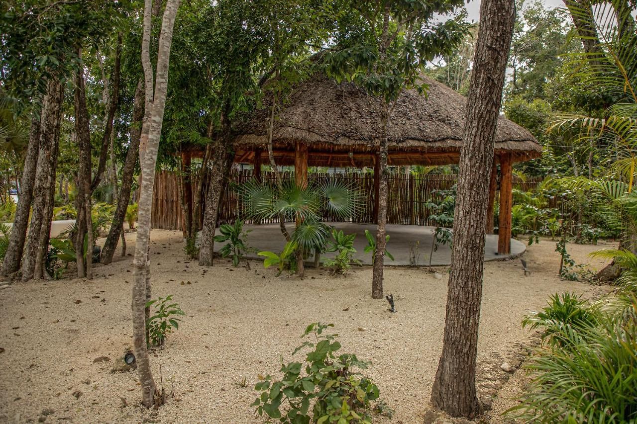 Macondo 4*