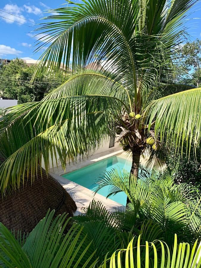 Apartment Tua Large Comfortable Pool Parking Space Tulum