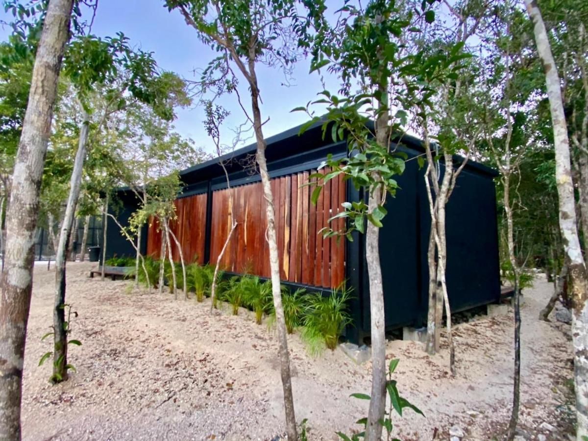 Room In The Jungle + Private Natural Cenote Guest house