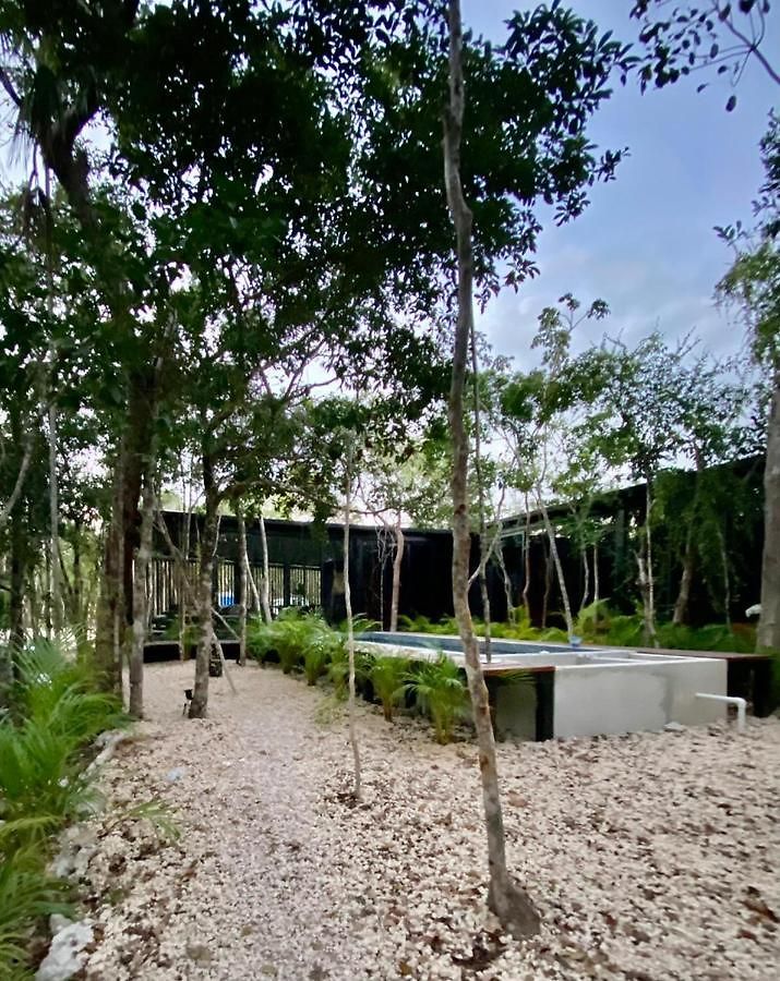 Guest house Room In The Jungle + Private Natural Cenote Tulum