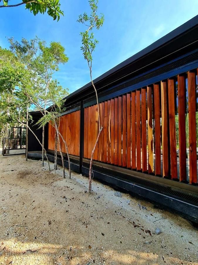 Room In The Jungle + Private Natural Cenote * Tulum