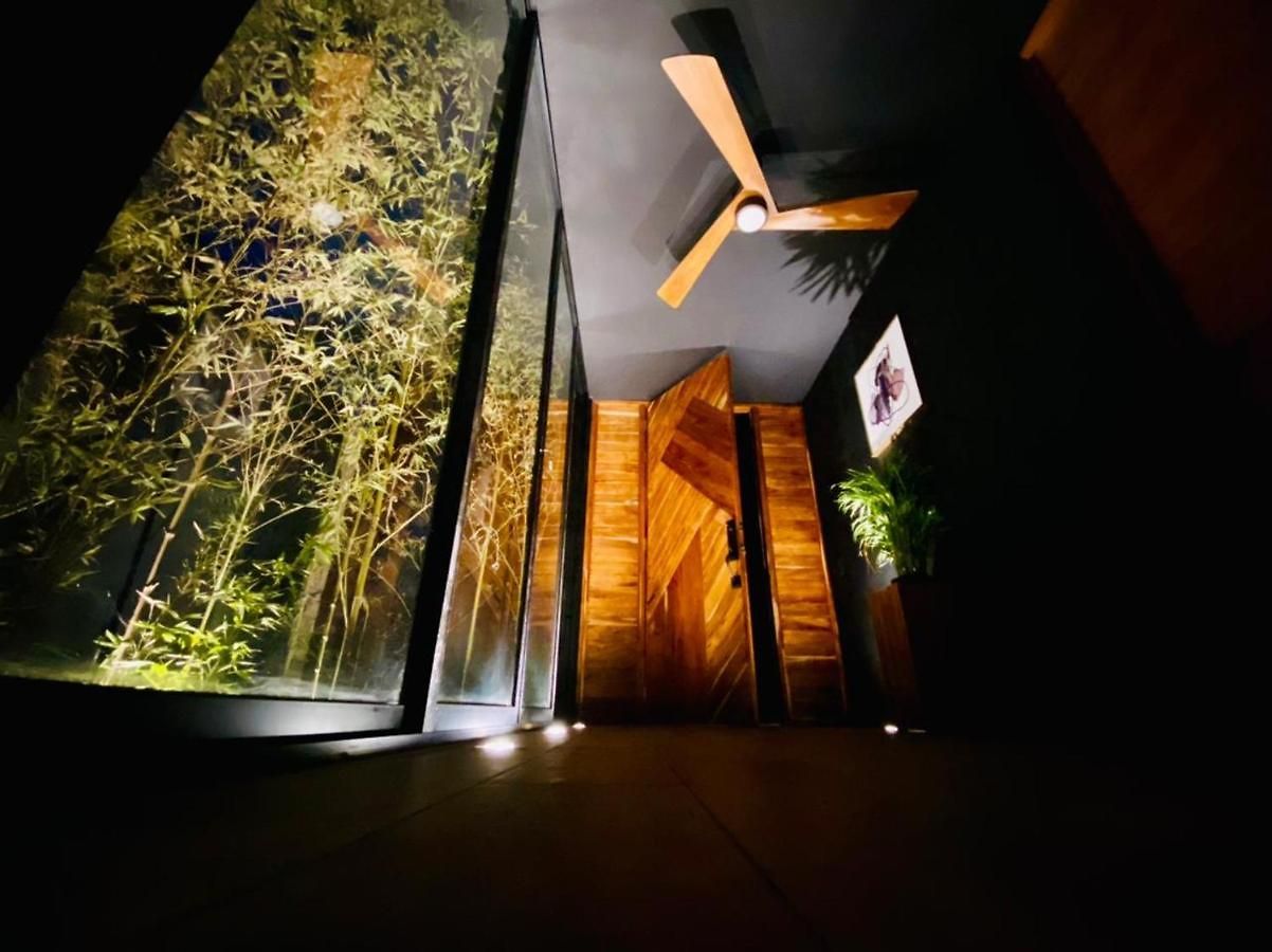 Room In The Jungle + Private Natural Cenote