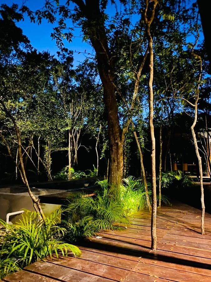 Room In The Jungle + Private Natural Cenote