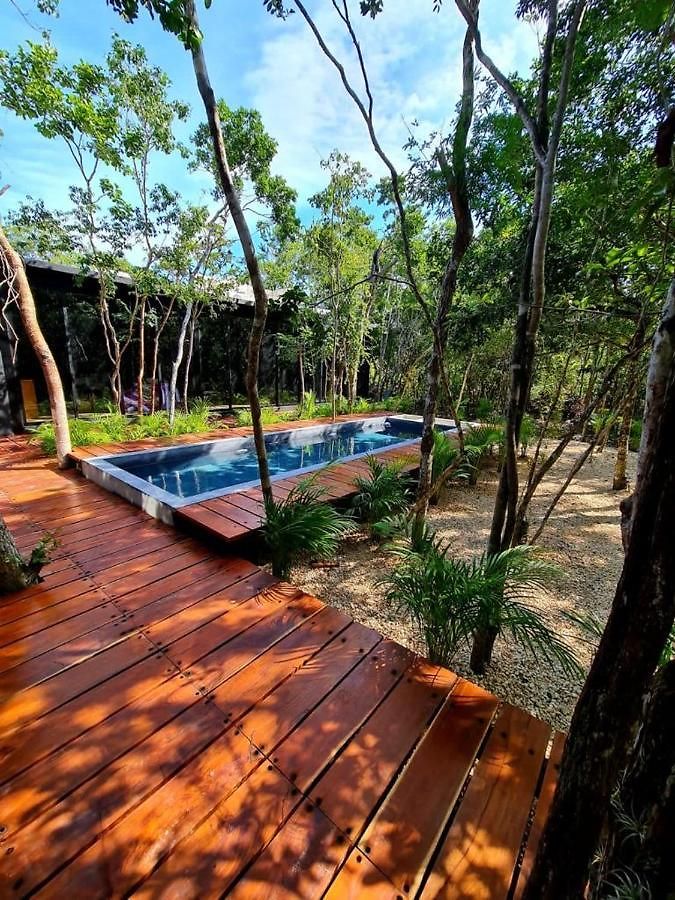 Room In The Jungle + Private Natural Cenote