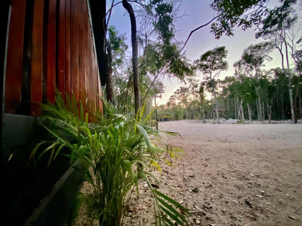 Room In The Jungle + Private Natural Cenote Guest house *