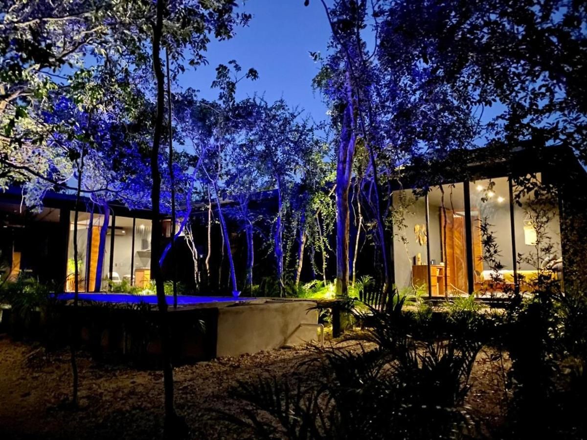 Room In The Jungle + Private Natural Cenote