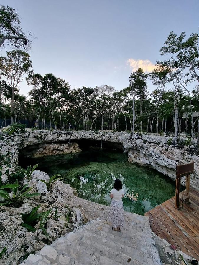 Room In The Jungle + Private Natural Cenote * Tulum