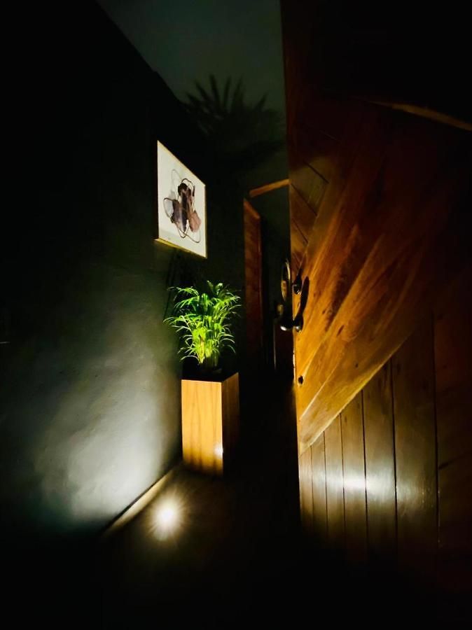 Room In The Jungle + Private Natural Cenote * Tulum
